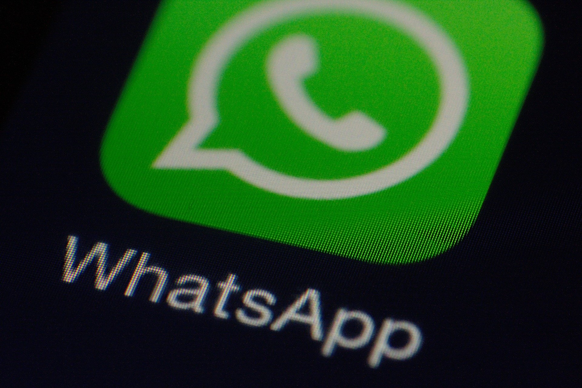 WhatsApp lança pacote de stickers e modo escuro para versão web
